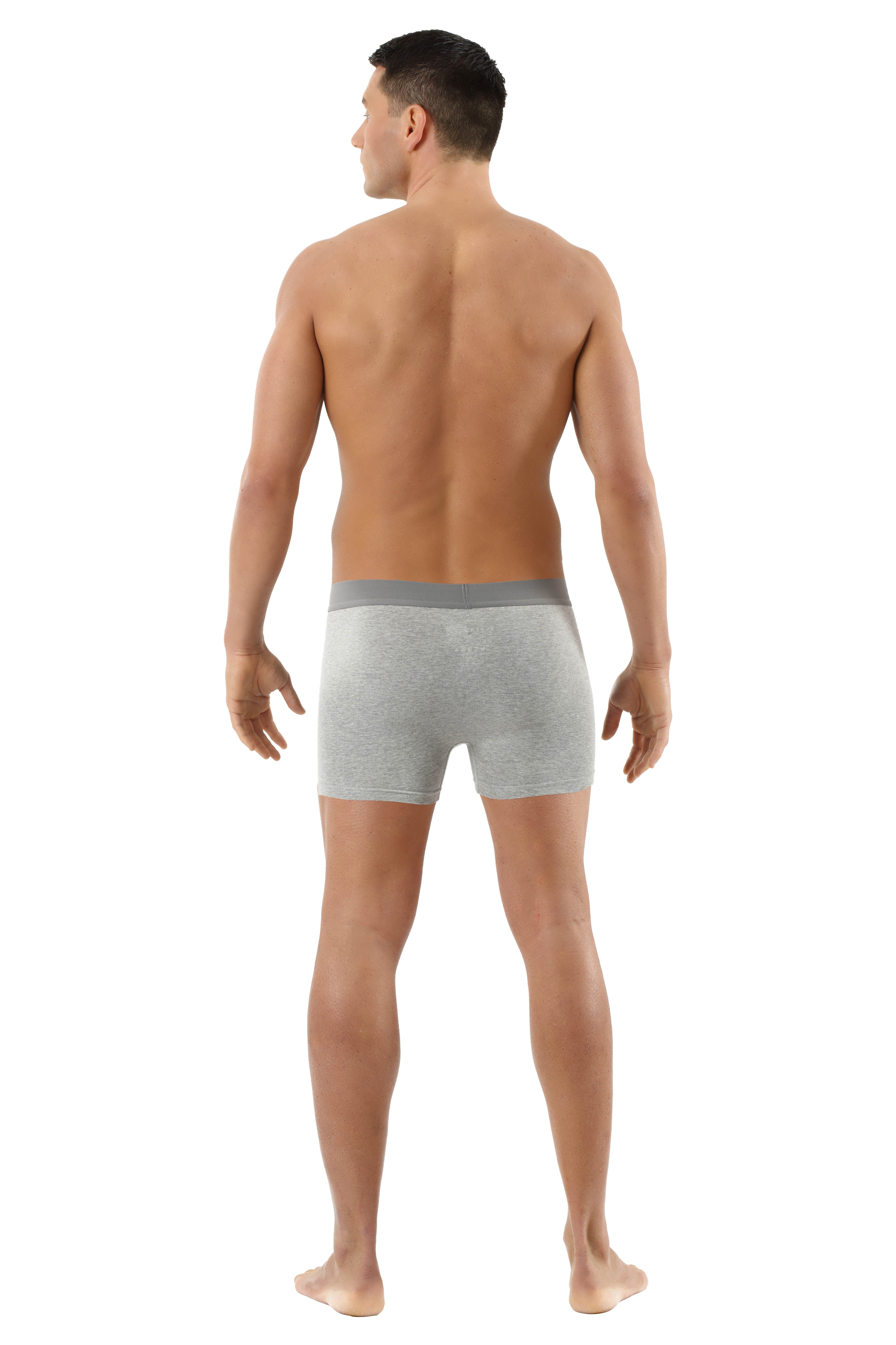 Herren Retroshorts antibakteriell Baumwolle Elastan grau
