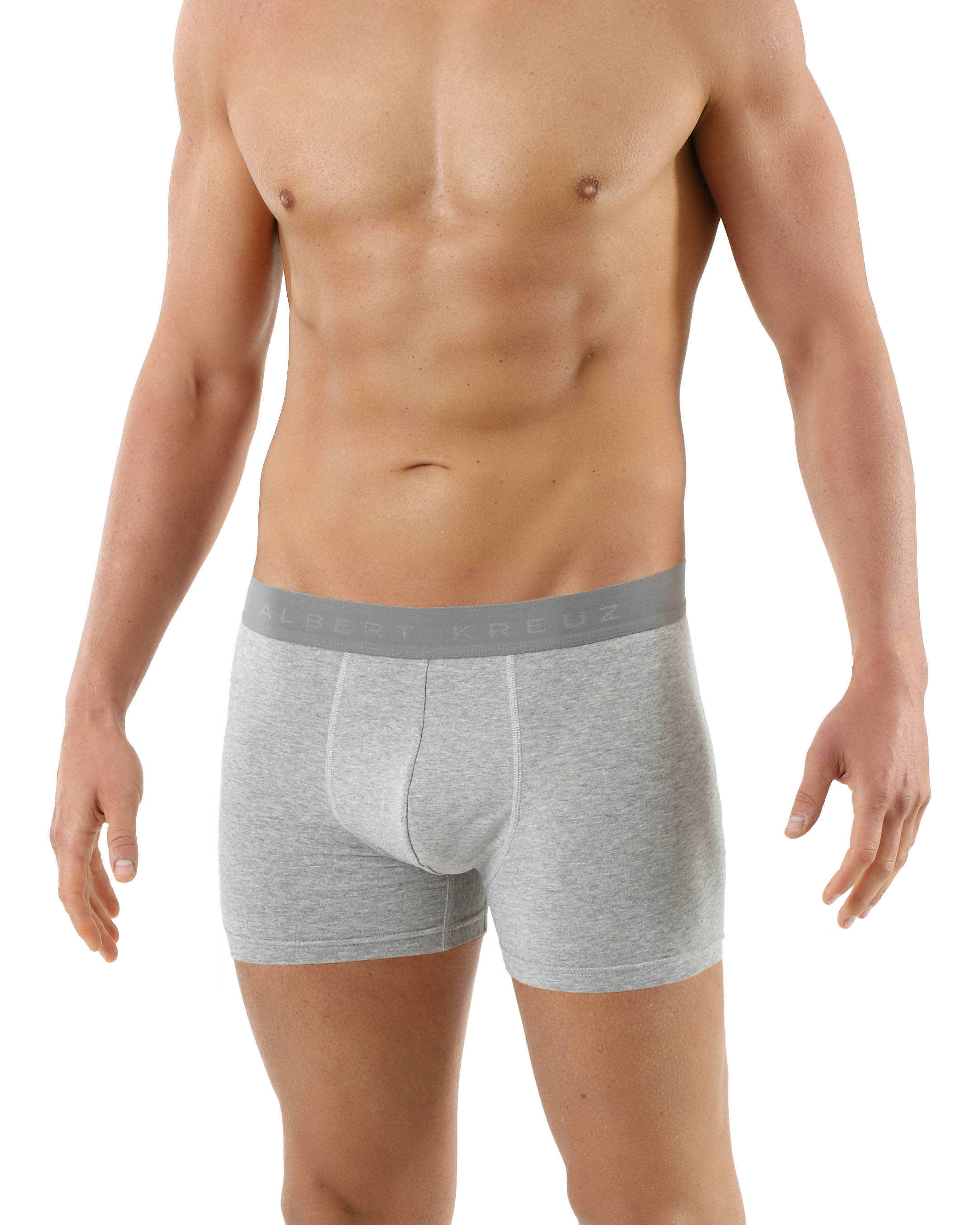 Herren Retroshorts antibakteriell Baumwolle Elastan grau