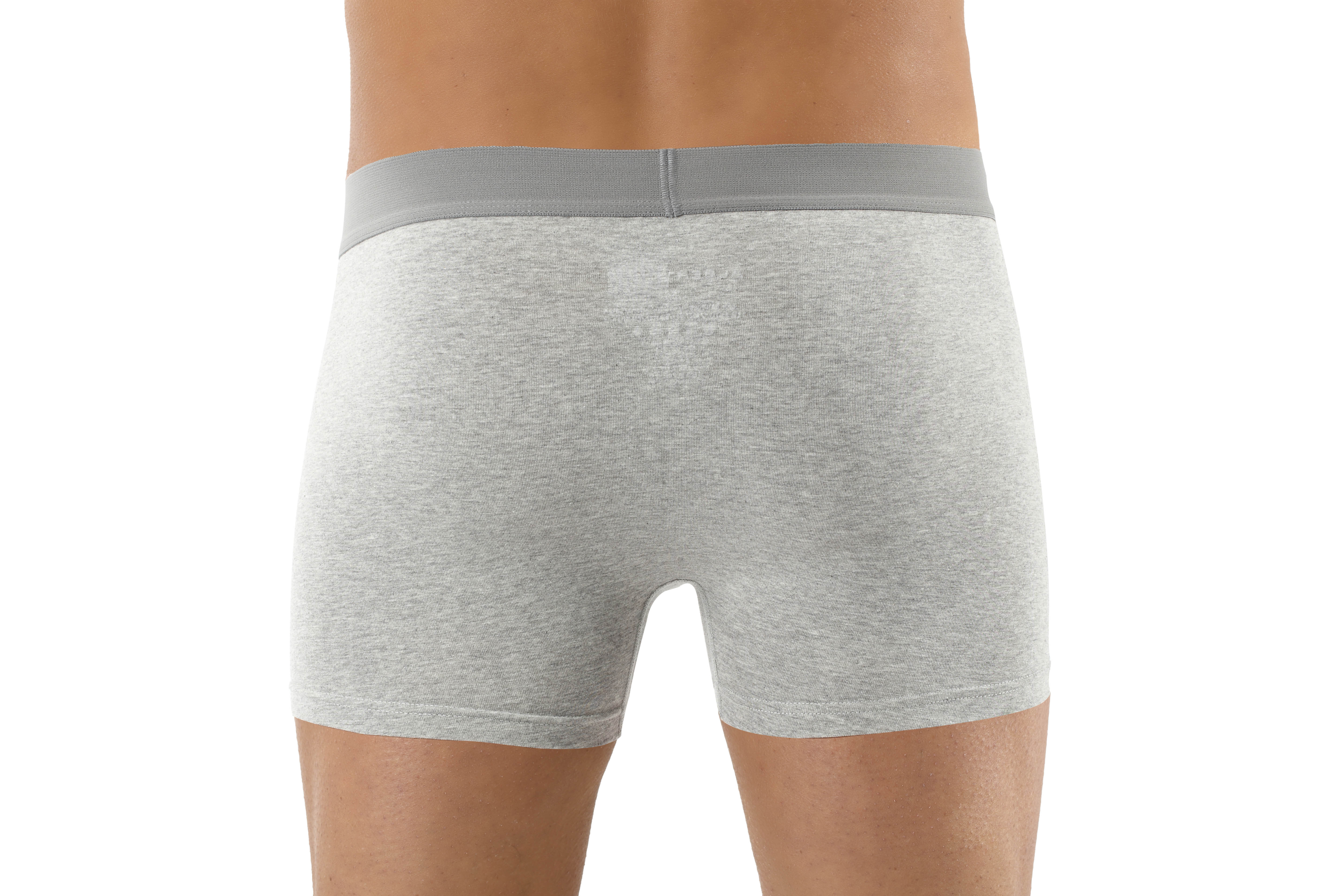 Herren Retroshorts antibakteriell Baumwolle Elastan grau